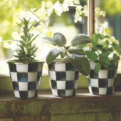 Courtly Check Enamel Herb Pots - Set Of 3|MacKenzie-Childs Best