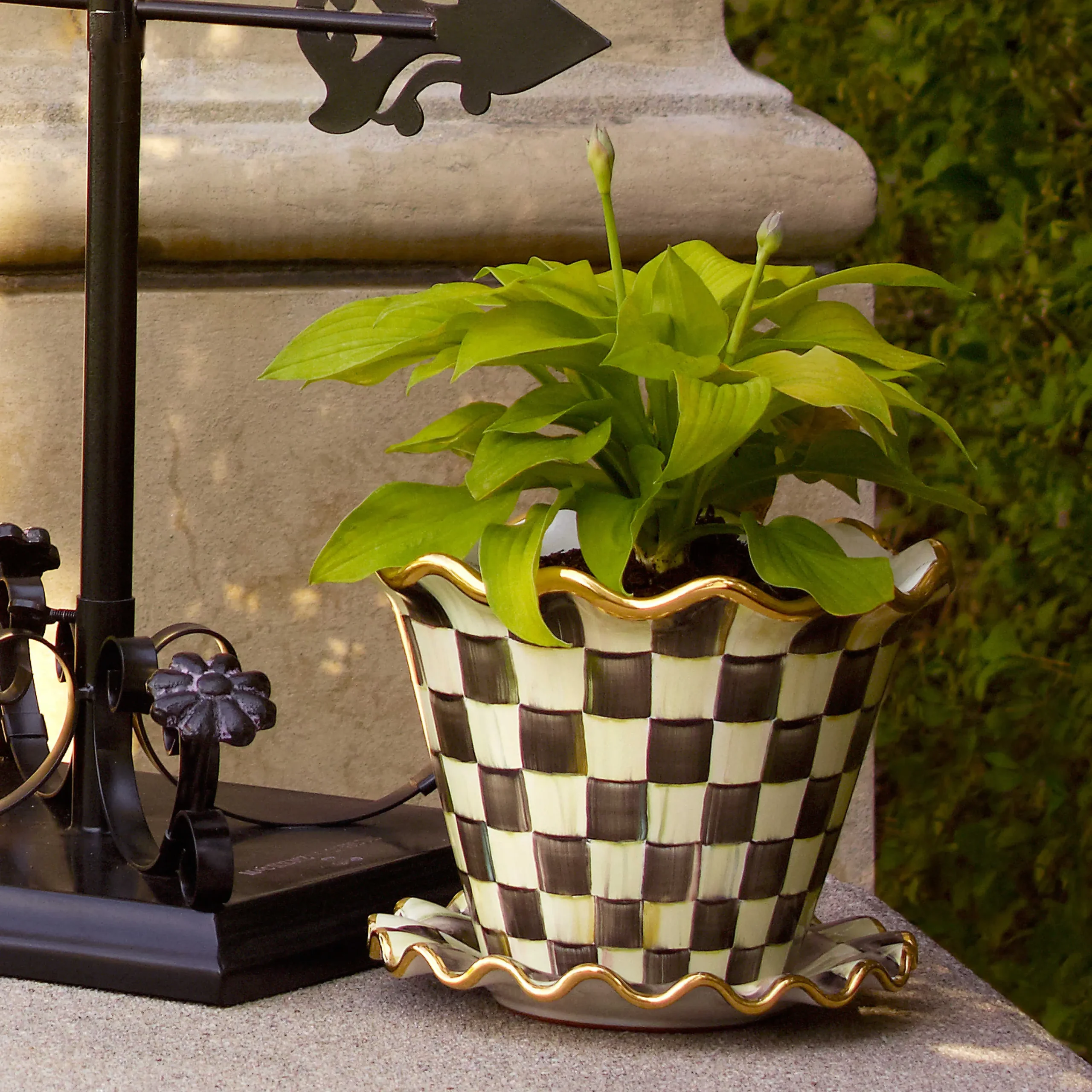 Courtly Check Garden Pot - 8"|MacKenzie-Childs New