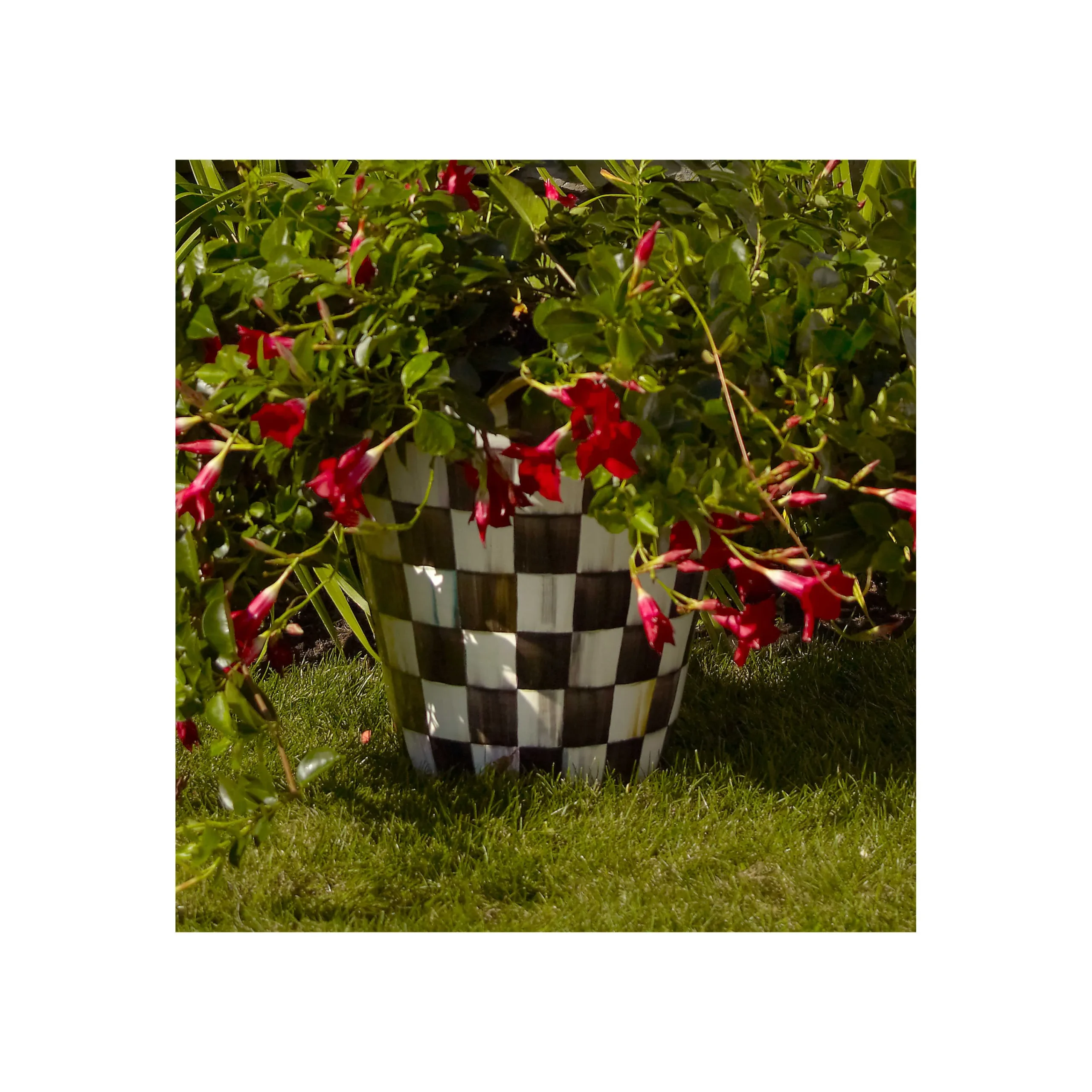 Courtly Check Jumbo Garden Pot|MacKenzie-Childs Outlet