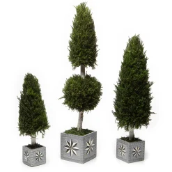 Farmhouse Cypress Tree - Medium|MacKenzie-Childs Discount