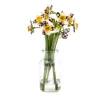Fresh Picks - Daffodil|MacKenzie-Childs New