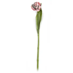 Parrot Tulip - Pink|MacKenzie-Childs Clearance