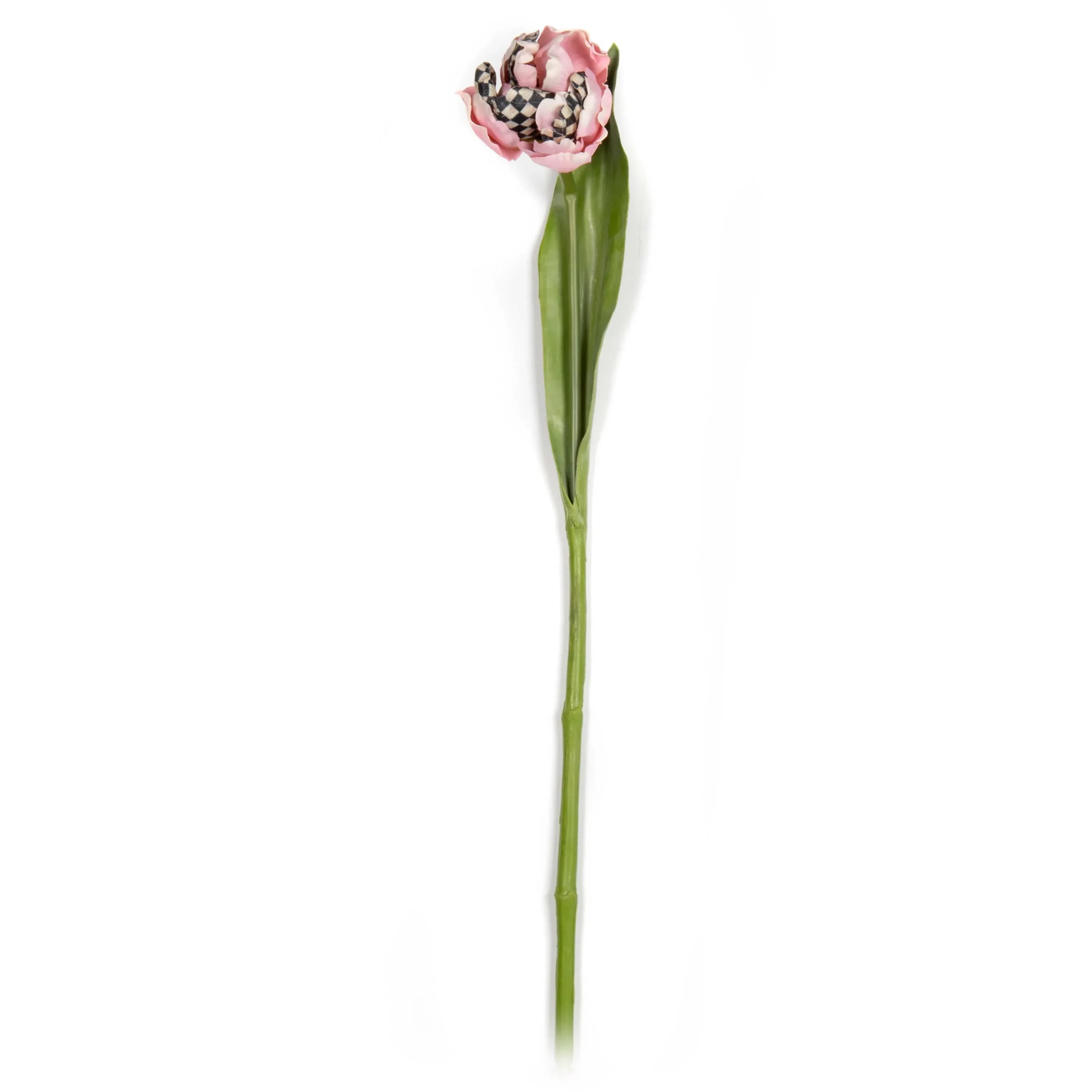 Parrot Tulip - Pink|MacKenzie-Childs Clearance