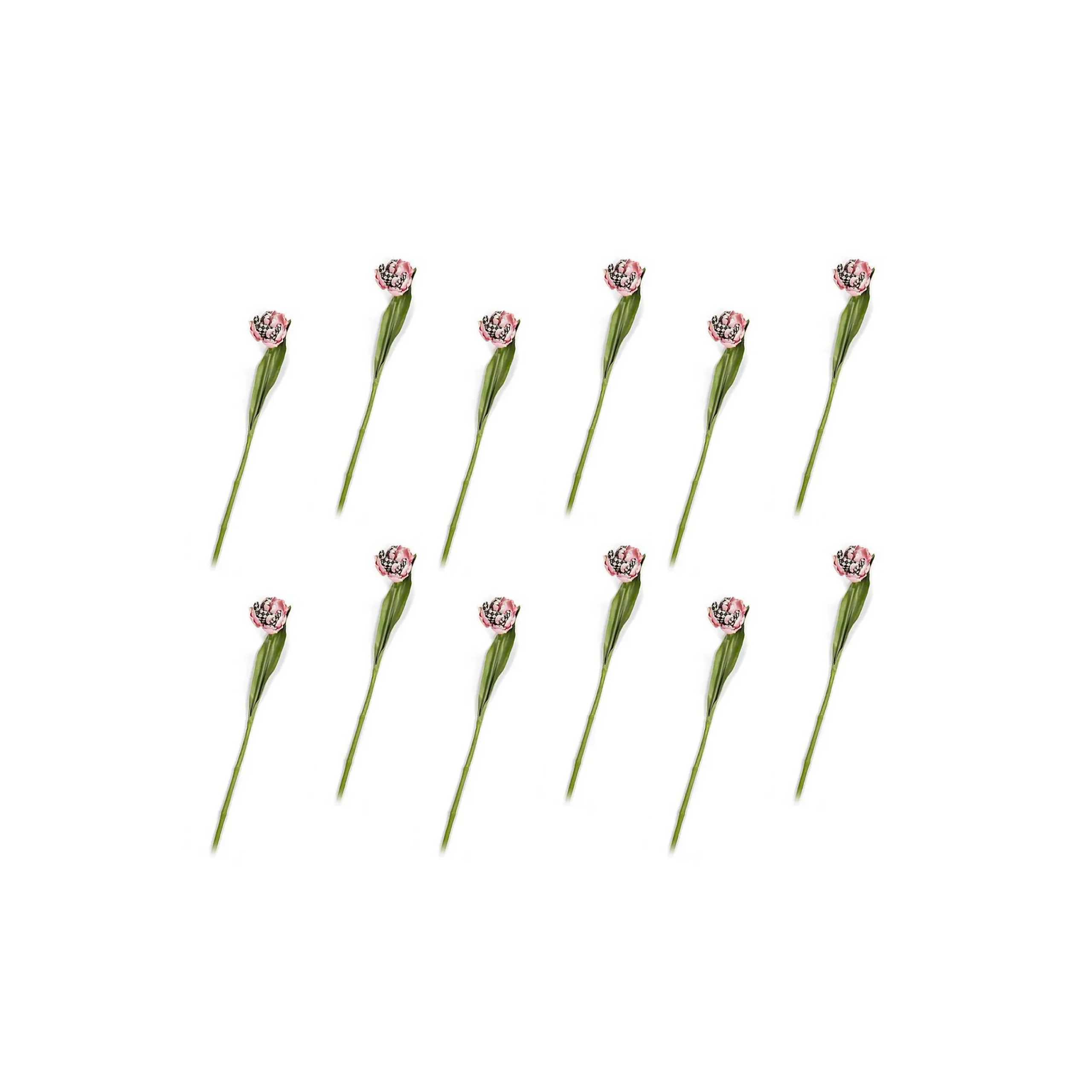 Parrot Tulip Bouquet - Pink - Set Of 12|MacKenzie-Childs Discount