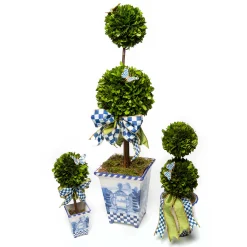 Royal Boxwood Topiary - Medium|MacKenzie-Childs Clearance