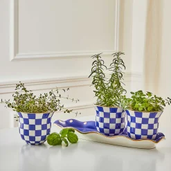 Royal Check Herb Garden Set|MacKenzie-Childs Online