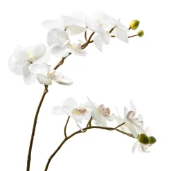 Royal Toile Potted Orchid - Large|MacKenzie-Childs New