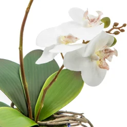 Royal Toile Potted Orchid - Medium|MacKenzie-Childs Hot