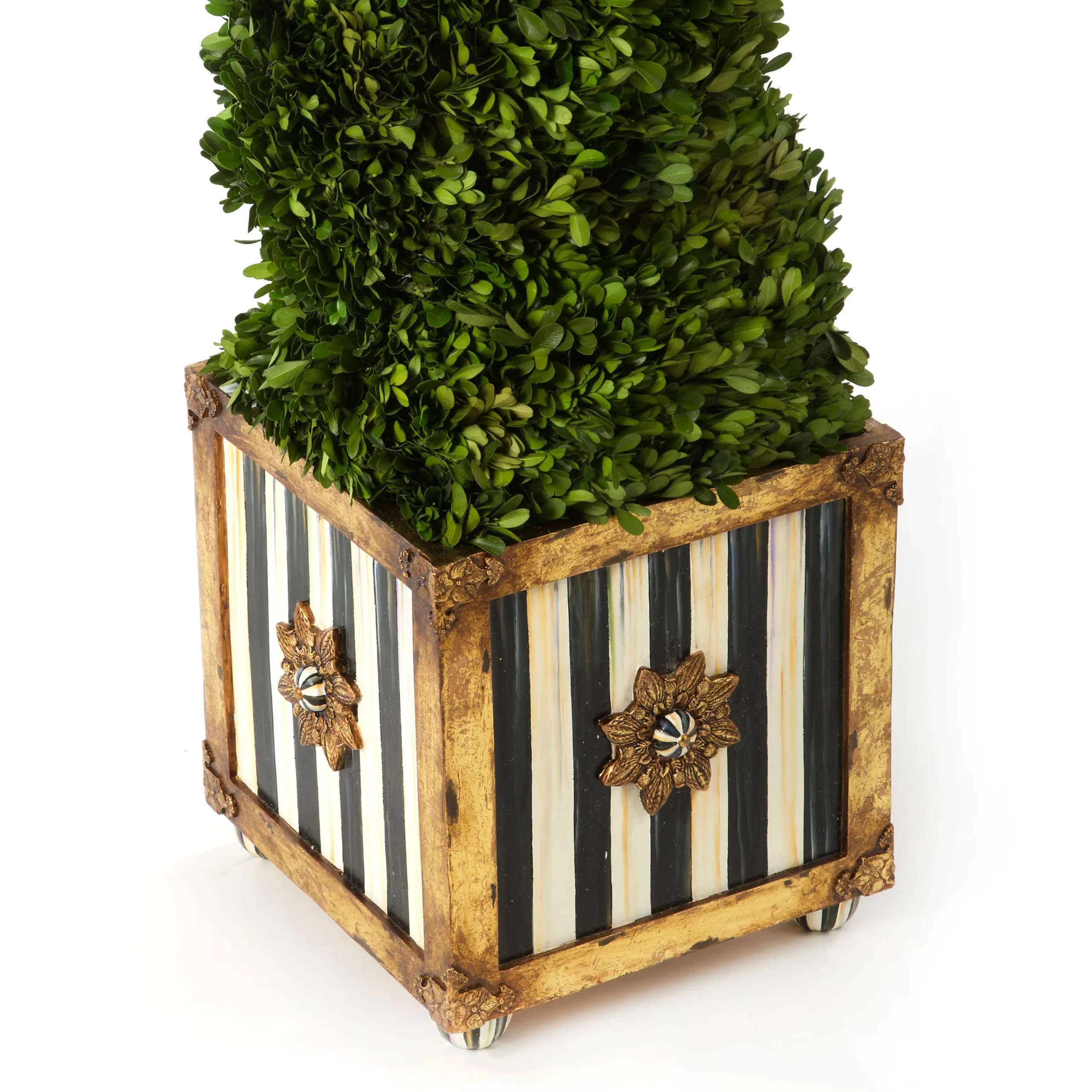 Swirl Topiary|MacKenzie-Childs Outlet