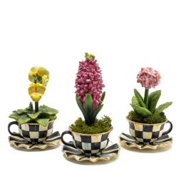 Teacup Hyacinth|MacKenzie-Childs